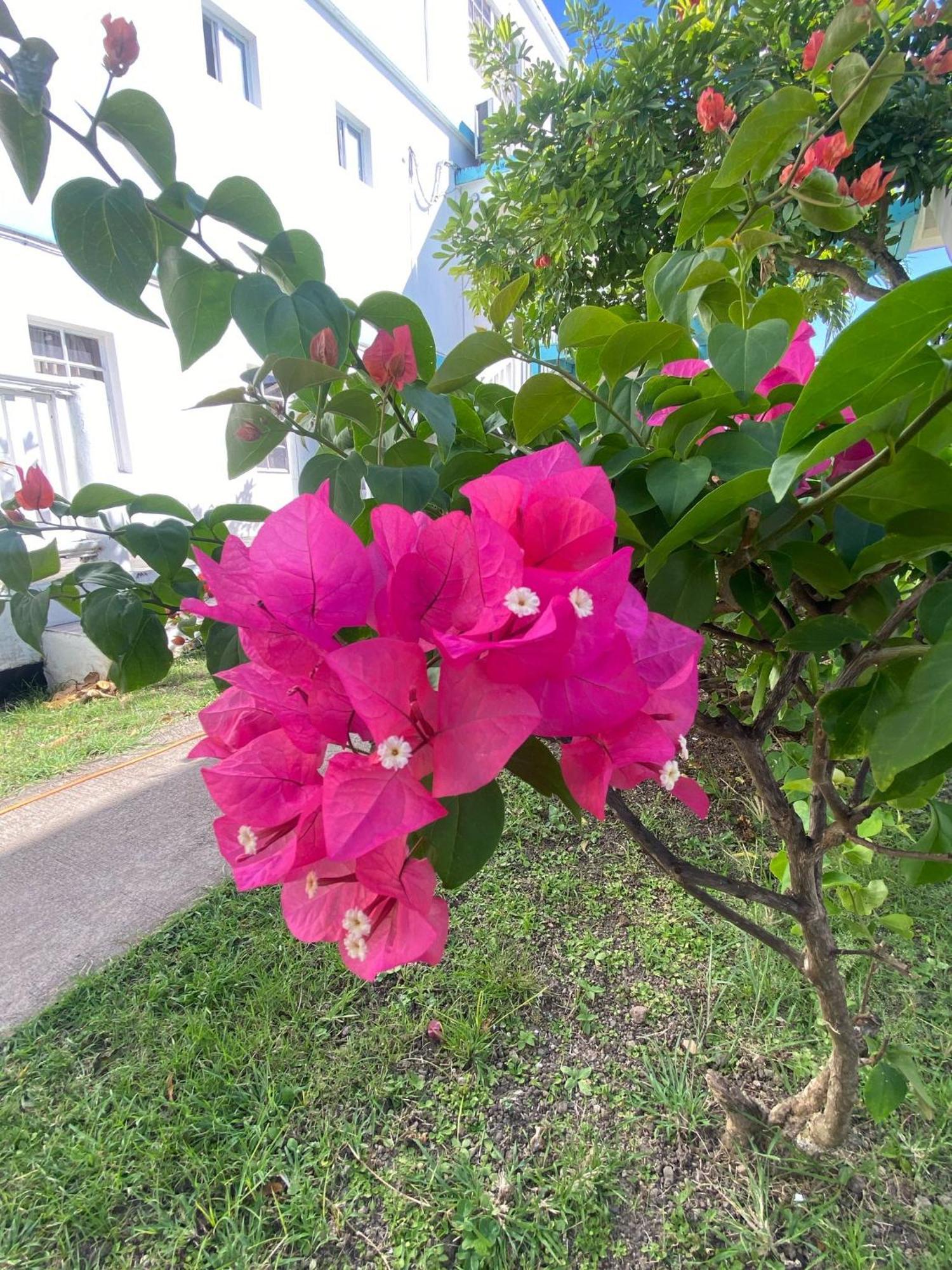 Beverley'S Guest House, เนวิส ภายนอก รูปภาพ